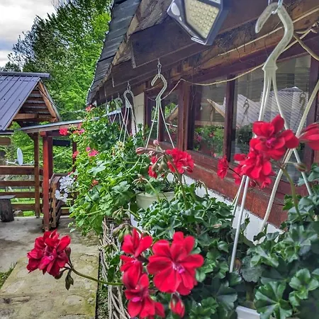 Cabana „Stana Din Deal” Provita de Sus Exterior foto