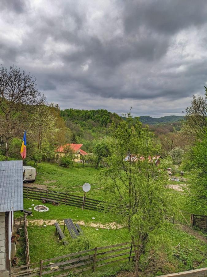 Ferienhaus „stana Din Deal” Provita de Sus