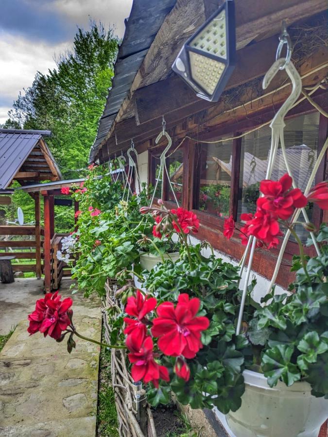 „stana Din Deal” Ferienhaus *
