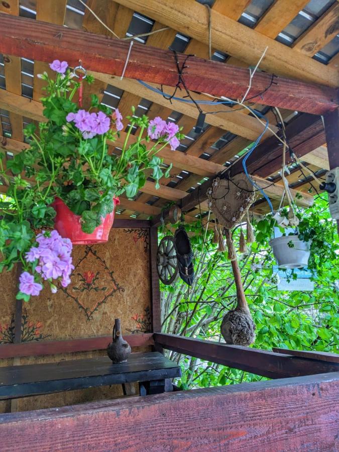 Ferienhaus „stana Din Deal” *