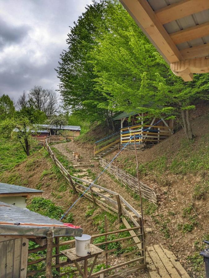 „stana Din Deal” Ferienhaus Provita de Sus